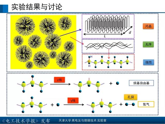 天津大学高宇副教授：核辐射环境下聚合物绝缘材料的研究新成果