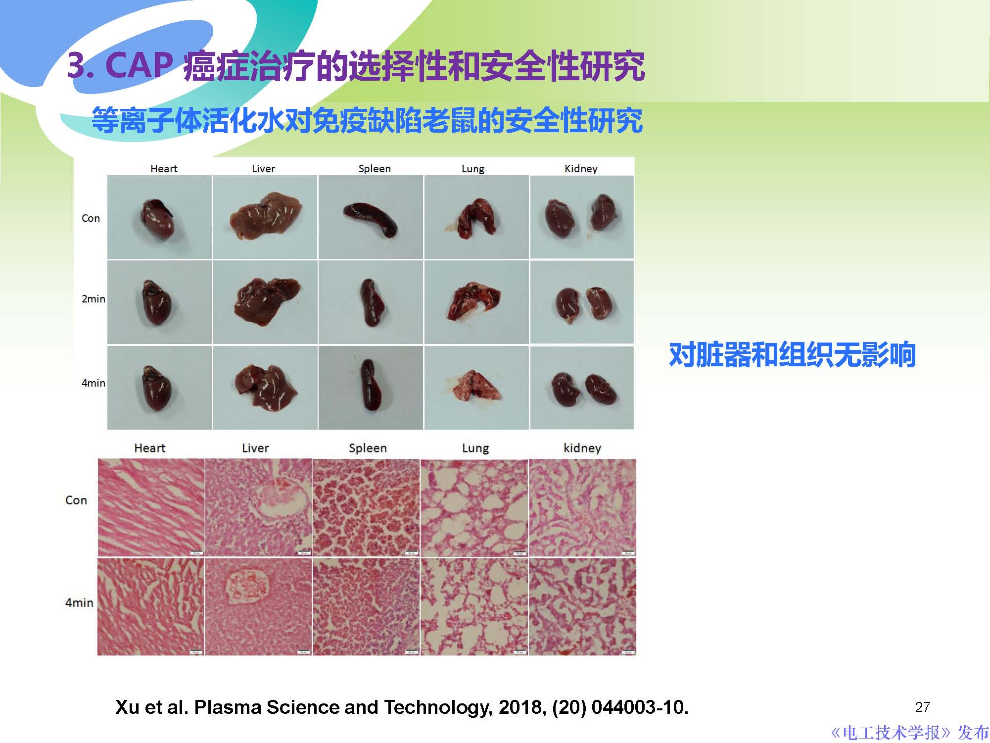 西安交通大学许德晖副教授：等离子体技术治疗癌症的最新研究进展