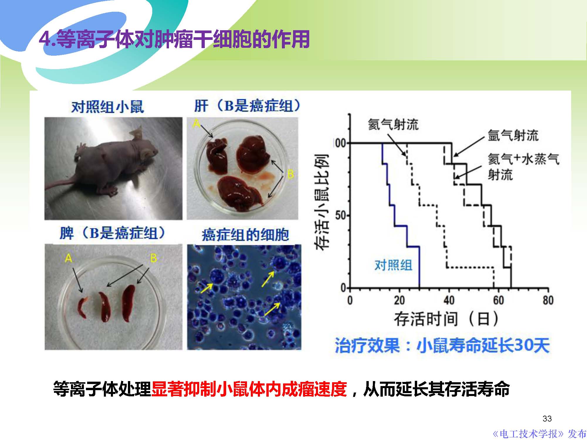 西安交通大学许德晖副教授：等离子体技术治疗癌症的最新研究进展